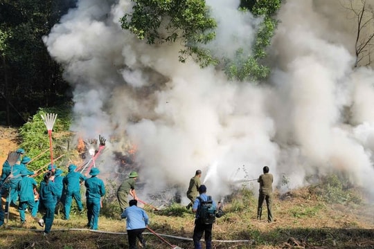 Hơn 140 người diễn tập chữa cháy rừng trước mùa khô tại xã Đoài Phương