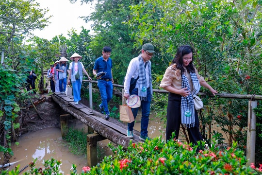 Mộc mạc Cồn Hô