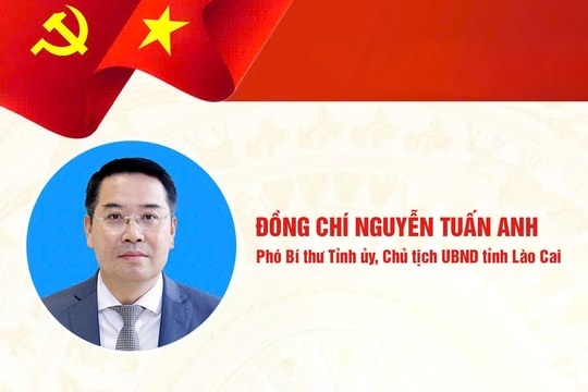 [Infographic] Chân dung Chủ tịch UBND tỉnh Lào Cai Nguyễn Tuấn Anh