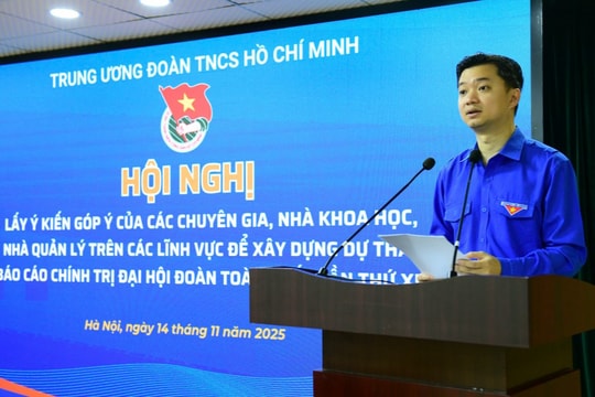 Góp ý dự thảo Báo cáo chính trị Đại hội Đoàn toàn quốc lần thứ XIII Đổi mới mạnh mẽ để đi cùng thế hệ trẻ thời đại số