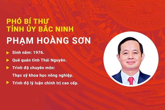 [Infographic] Chân dung Phó Bí thư Tỉnh ủy Bắc Ninh Phạm Hoàng Sơn