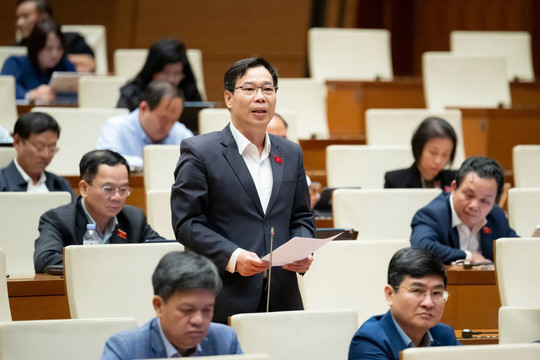 Đại biểu Quốc hội: Chờ hỗ trợ từ ngân sách sẽ lỡ "thời điểm vàng" xử lý khủng hoảng bảo hiểm tiền gửi