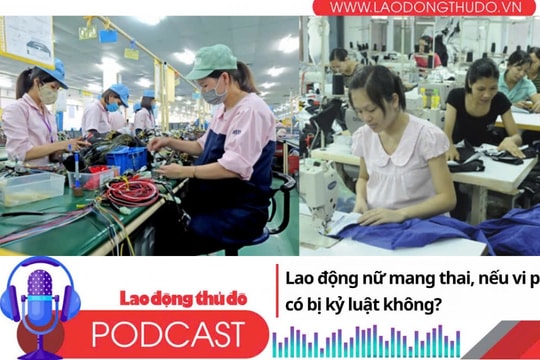Lao động nữ mang thai, nếu vi phạm có bị kỷ luật không