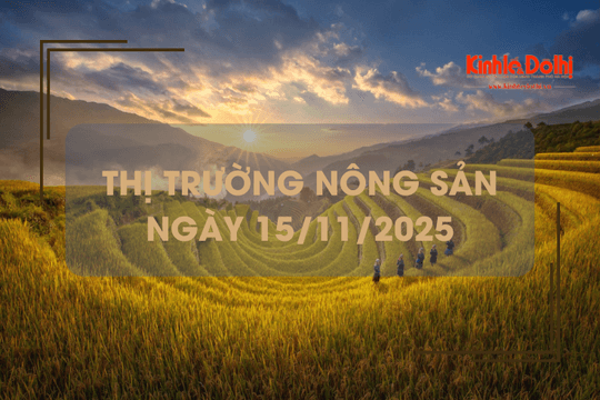 Thị trường nông sản ngày 15/11: giá lúa gạo ít biến động