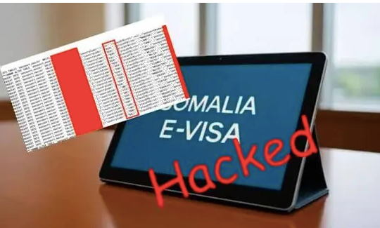 Mỹ và Anh cảnh báo du khách sau vụ tin tặc xâm nhập hệ thống thị thực điện tử của Somalia