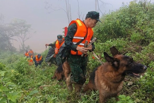 Đà Nẵng: Quân khuyển đến tìm nạn nhân mất tích sau sạt lở đất ở xã Hùng Sơn