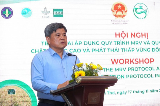 TP Cần Thơ Quy trình giảm phát thải khí mê-tan trong sản xuất lúa