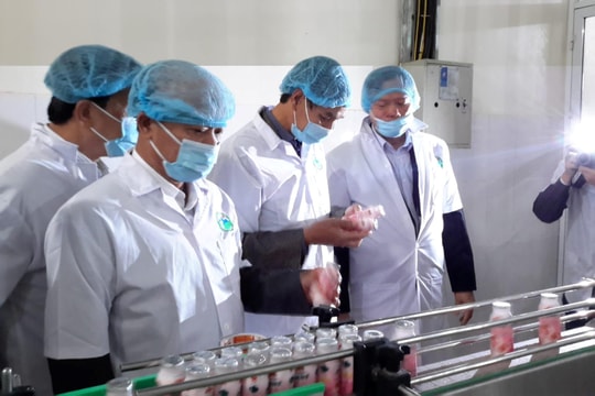 Chủ động phòng ngừa, cảnh báo sớm nguy cơ mất an toàn thực phẩm nông, lâm, thủy sản