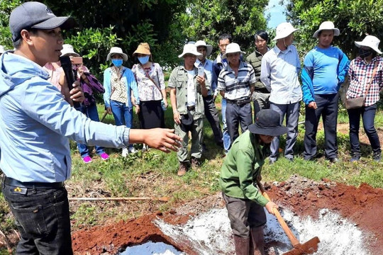 Mỗi ngày phát sinh 2.550 tấn rác thải sinh hoạt