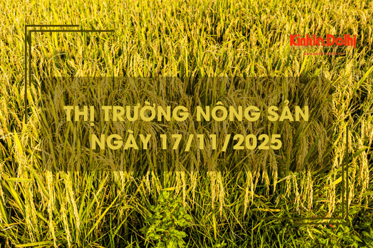 Thị trường nông sản ngày 17/11: giá gạo xuất khẩu tháng 10 giảm mạnh