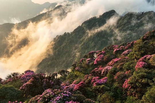 Lai Châu sẵn sàng cho Tuần Du lịch - Văn hóa và Giải Marathon 2025