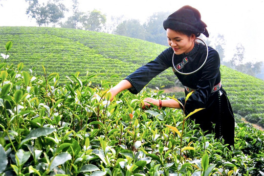 Tích hợp 3 chương trình mục tiêu quốc gia Bảo đảm mục tiêu, yêu cầu phải cao hơn, tốt hơn