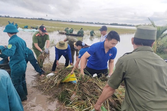 "Ngọn lửa trẻ" thắp sáng chuyển đổi số, hành động xanh ở Tây Ninh