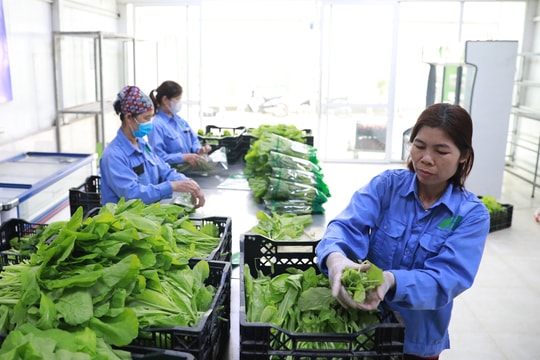 Tin tức đặc biệt trên báo in Hànộimới ngày 19-11-2025