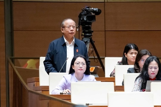 Đại biểu Quốc hội băn khoăn việc phải “kêu gọi” đẩy mạnh giải ngân vốn đầu tư công