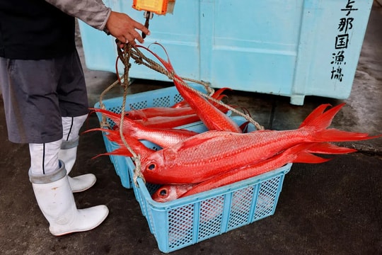 Trung Quốc tạm ngừng nhập khẩu hải sản từ Nhật Bản