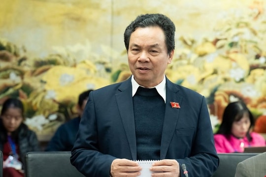 Đề xuất HĐND tỉnh giám sát việc chuyển đổi mục đích sử dụng đất lúa, đất rừng