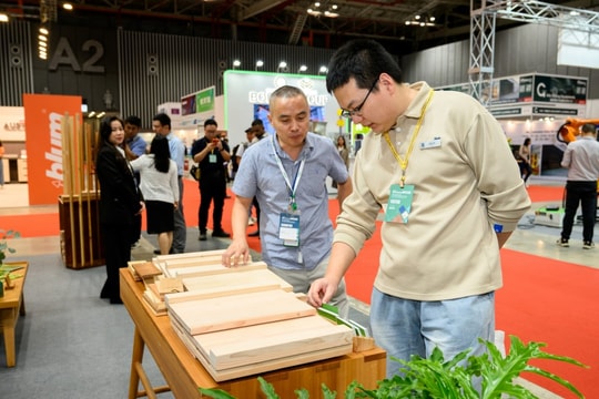 Canadian Wood Việt Nam giới thiệu giải pháp gỗ mềm bền vững tại Triển lãm Vietnamwood 2025
