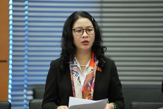 Có phương án bảo đảm sinh kế cho người dân khi thu hồi đất dự án sân bay quốc tế 5 sao