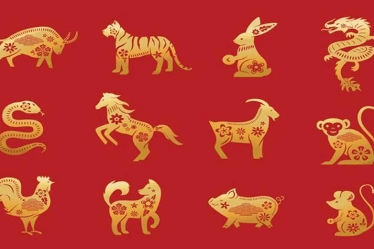 Tài lộc, con số may mắn ngày 20/11/2025