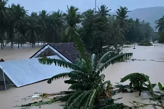Đắk Lắk: sạt lở núi do mưa lớn ở phường Sông Cầu, một phụ nữ tử vong