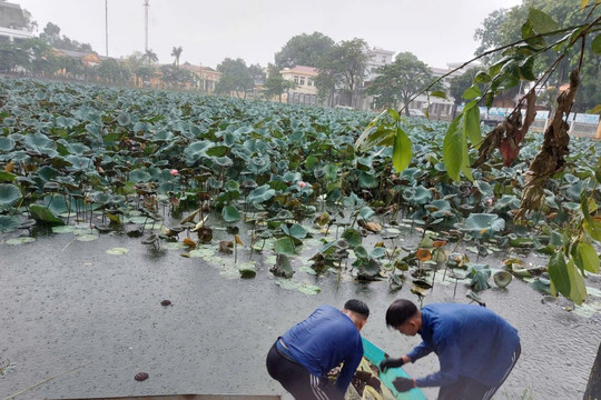 Chắp cánh an sinh xã hội từ tâm huyết thanh niên Quảng Bị