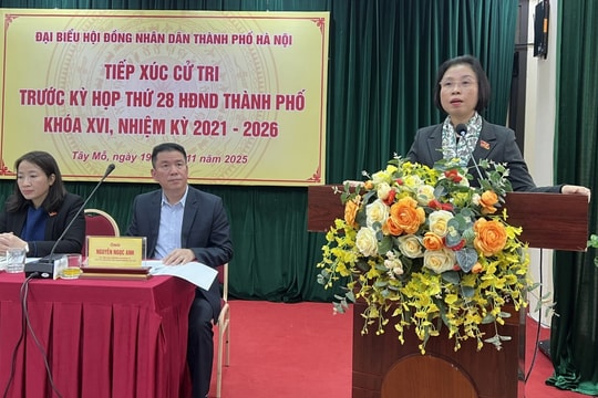 Cử tri Hà Nội kiến nghị sớm giải quyết úng ngập, môi trường