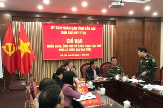 Đắk Lắk họp khẩn ứng phó mưa lớn, ngập lụt khu vực phía Đông