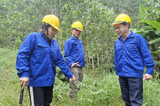 Bài 2: Giải pháp phát triển kinh tế bền vững