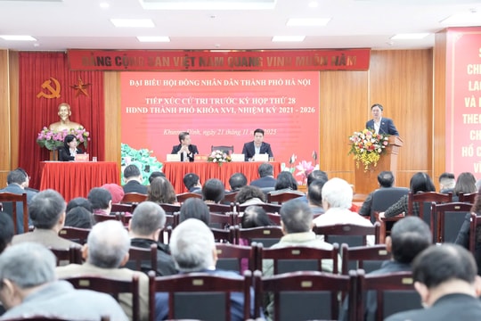 Đề nghị đẩy nhanh Dự án cải tạo, chỉnh trang, tái thiết công viên hai bên sông Tô Lịch