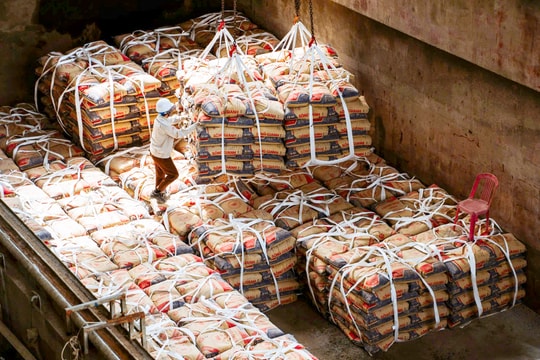Giải pháp bền vững từ vật liệu xanh