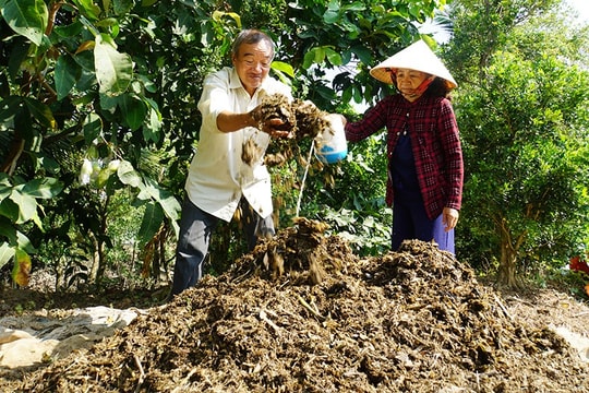 Giảm rác thải nông nghiệp - Hướng đi tất yếu cho nền nông nghiệp xanh