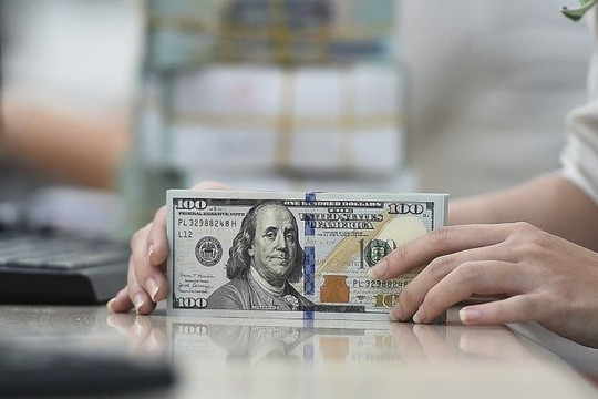 Tỷ giá USD hôm nay (21/11): Giá USD thị trường tự do giảm