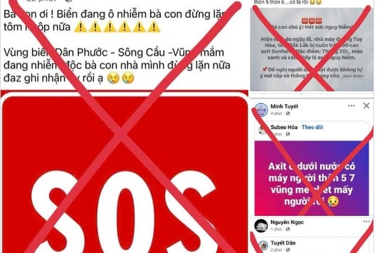 Công an bác tin đồn người lặn bắt tôm hùm tử vong do axit sunfuric trôi ra biển