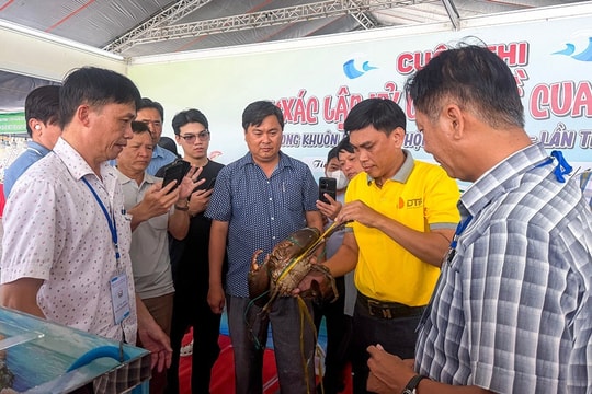 Cua “khủng” gần 2kg trở thành tâm điểm Ngày hội Cua Cà Mau