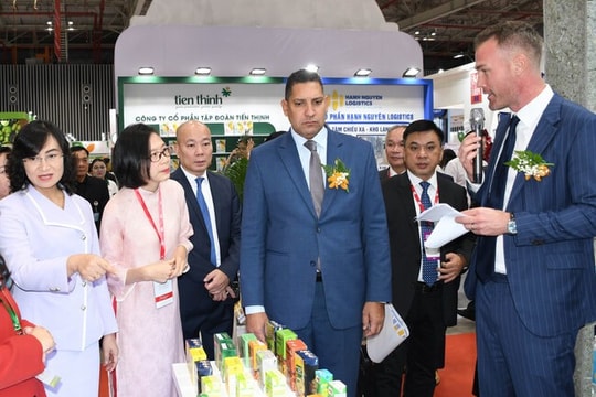 TP.HCM: Hỗ trợ doanh nghiệp trong tuyển dụng, sử dụng lao động nước ngoài