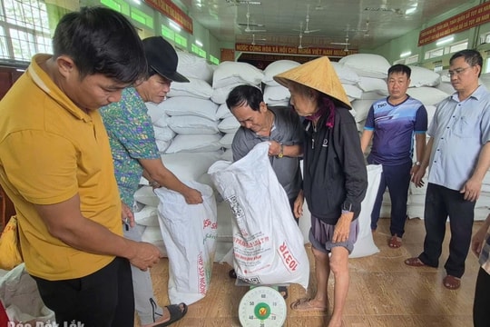 Khẩn cấp hỗ trợ khắc phục hậu quả lũ lụt ở miền Trung