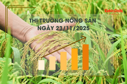 Thị trường nông sản ngày 23/11: gạo xuất khẩu Việt Nam giảm mạnh, chạm đáy 5 năm