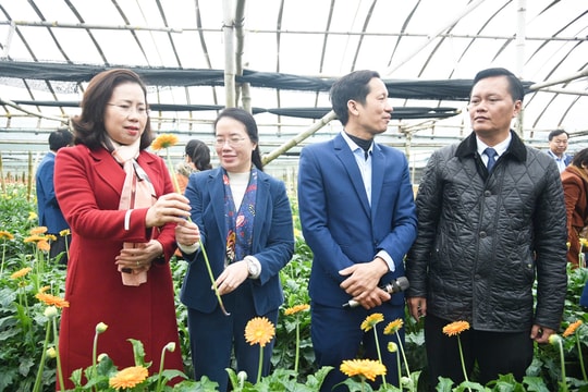 Phát huy vai trò nông dân Thủ đô trong nông nghiệp xanh