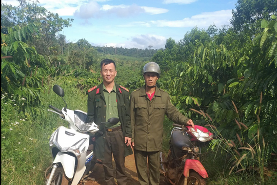 Lâm Đồng Công an Tuy Đức bám rẫy bảo vệ mùa màng cho nông dân