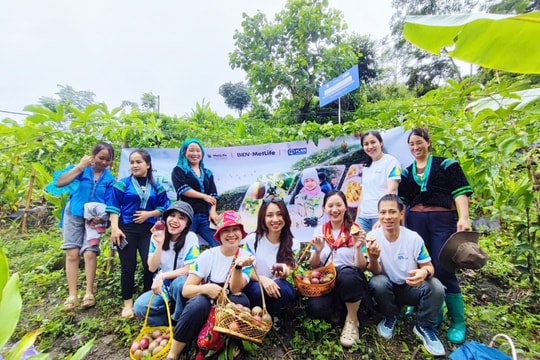 BIDV MetLife đẩy mạnh cam kết phát triển bền vững thông qua chuỗi hoạt động vì cộng đồng năm 2025