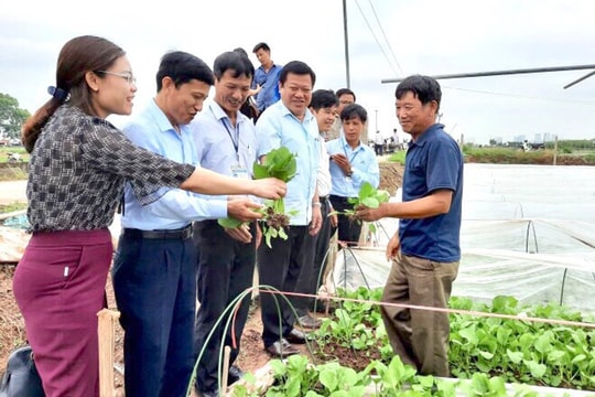 Thay đổi tập quán sử dụng thuốc bảo vệ thực vật - nền tảng để sản xuất rau an toàn, bền vững