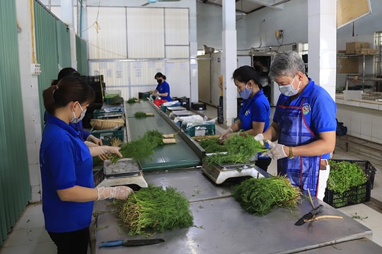 Hà Nội tăng tốc số hóa để bảo đảm an toàn thực phẩm