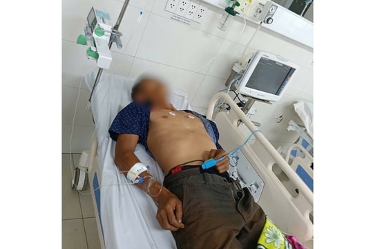 Gia Lai: Ăn bọ xít, một người bị suy đa tạng nguy kịch