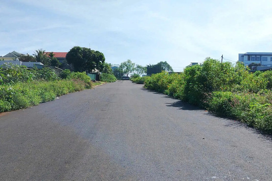 Gia Lai: kiên quyết cưỡng chế 2 hộ dân cuối cùng tại dự án đường Nguyễn Văn Linh