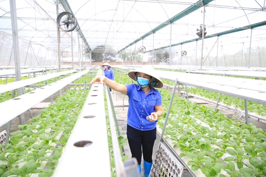 Tin tức đặc biệt trên báo in Hànộimới ngày 27-11-2025