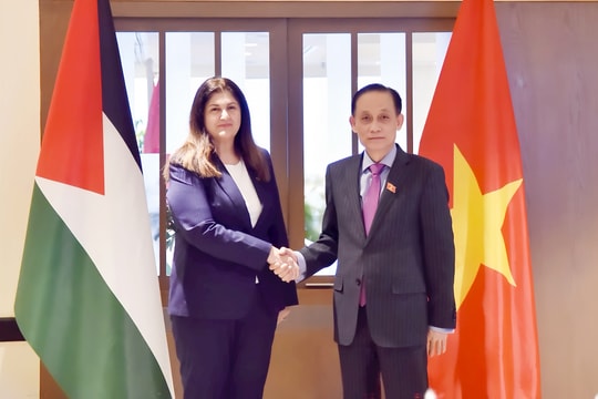 Bộ trưởng Lê Hoài Trung: Việt Nam sẵn sàng tham gia công cuộc tái thiết Dải Gaza