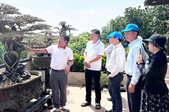 Nông nghiệp sinh thái mở hướng phát triển mới cho Hồng Vân