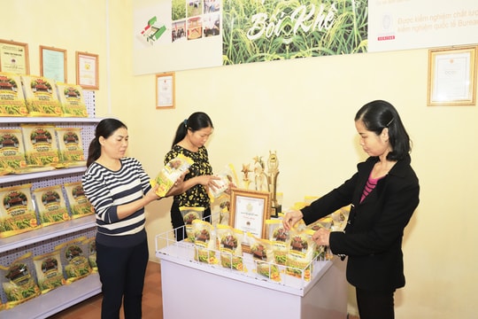 “Chìa khóa vàng” mở rộng thị trường tiêu thụ nông sản