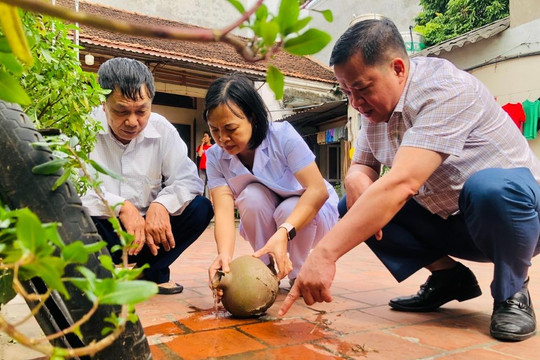 Hà Nội kiểm soát tốt dịch sốt xuất huyết, số ca mắc giảm mạnh